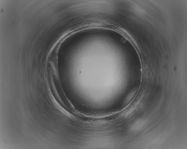 X0000078250851200611031136