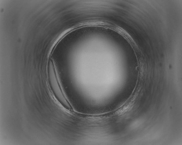 X0000078250852200611031136