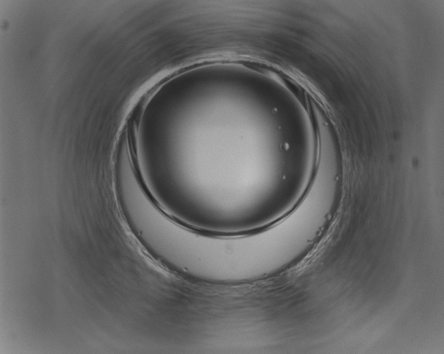 X0000078250854200611031136