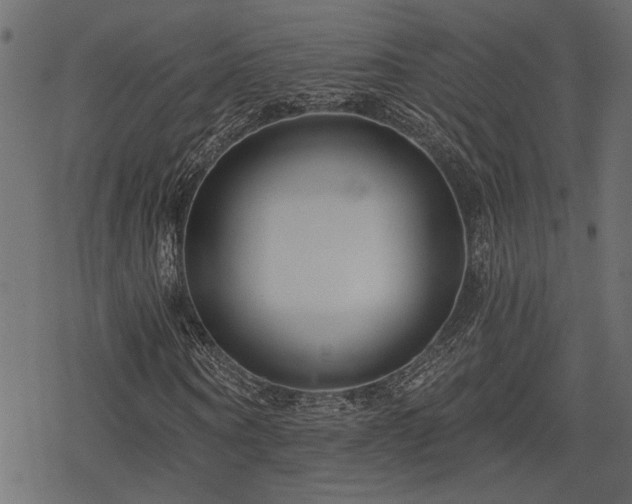 X0000078250866200611031135