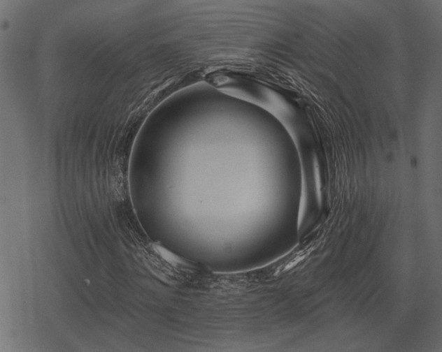 X0000078250868200611031135