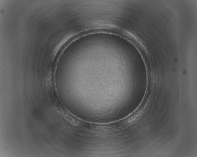 X0000078250875200611031135