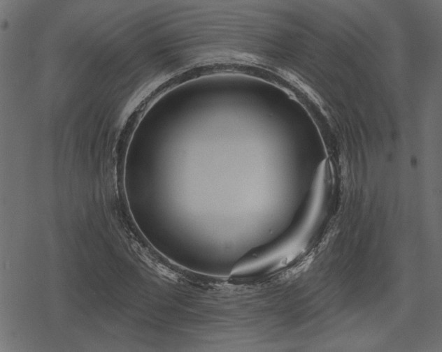 X0000078250877200611031135