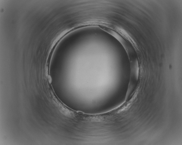 X0000078250900200611031134