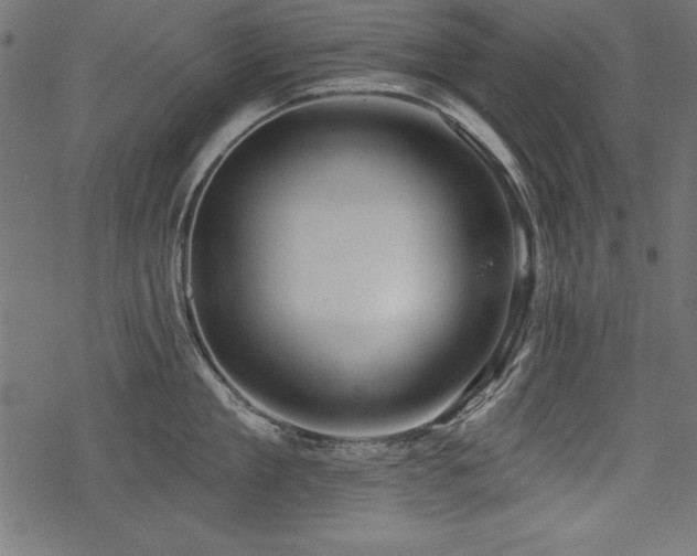 X0000078250909200611031134