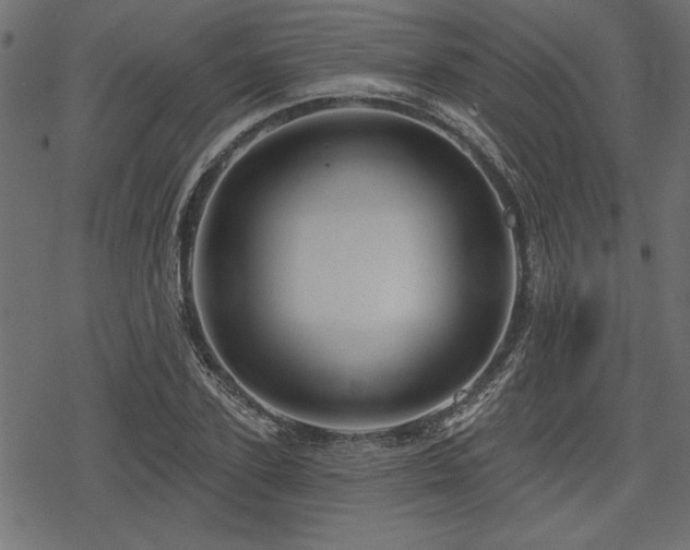 X0000078250931200611031134