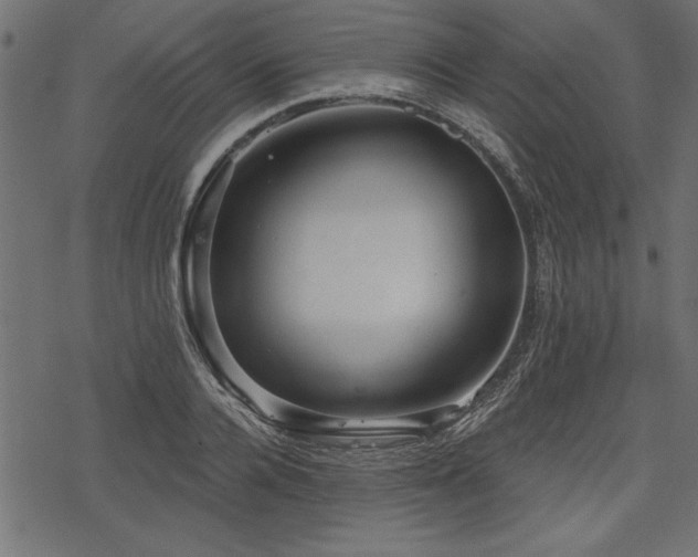 X0000078250936200611031134