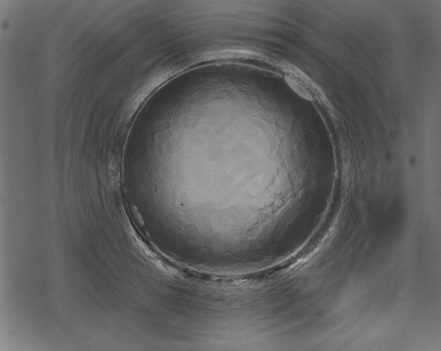 X0000078250945200611031134