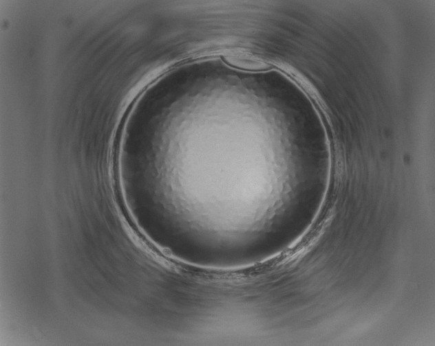 X0000078250957200611031134