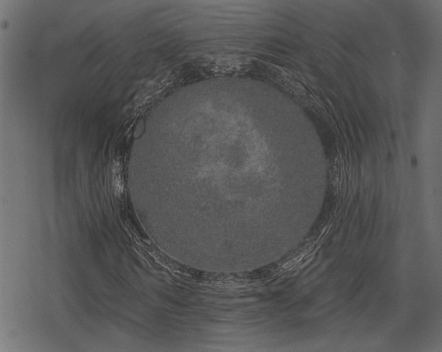 X0000078250962200611031133