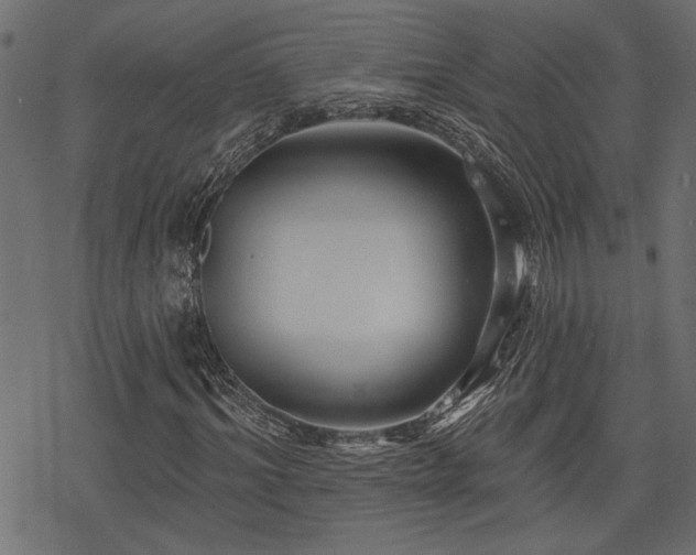 X0000078250964200611031133