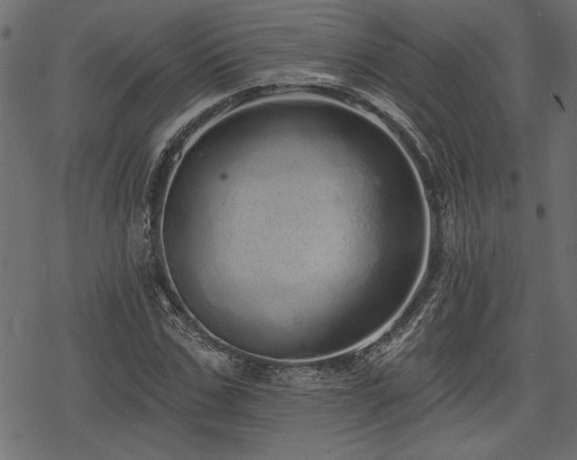 X0000078250971200611031133