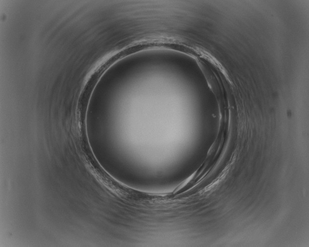 X0000078250981200611031133