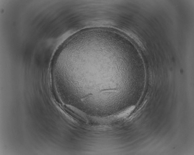 X0000078250982200611031133