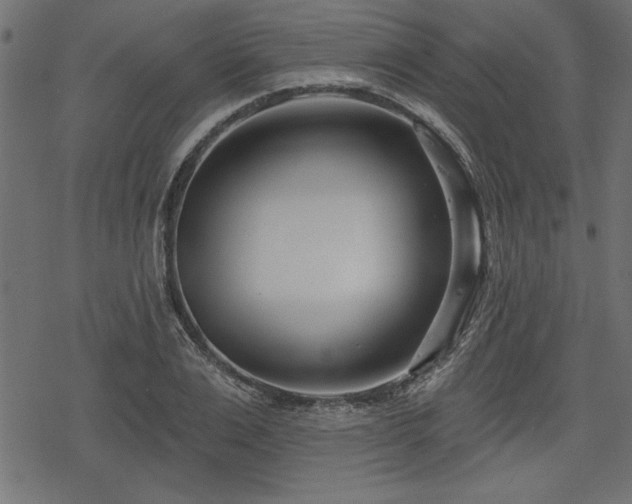 X0000078250983200611031133