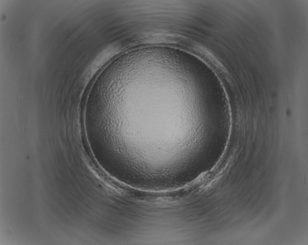 X0000078250986200611031133