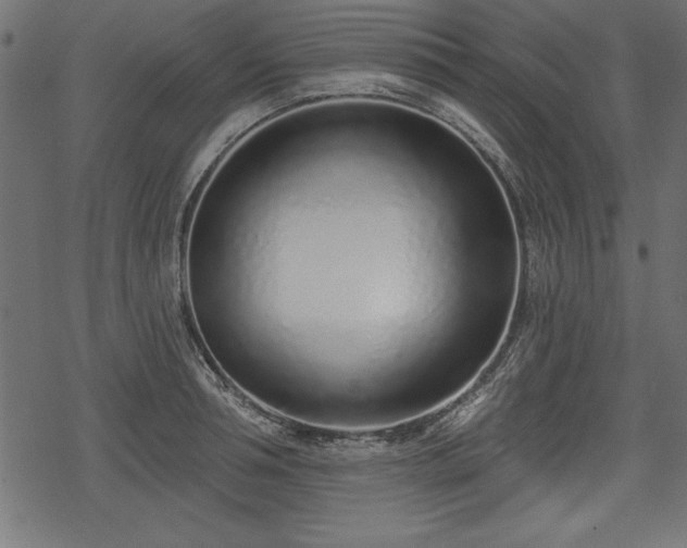 X0000078250994200611031133