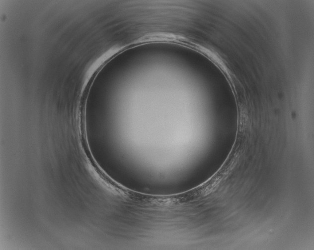 X0000078251003200611031133