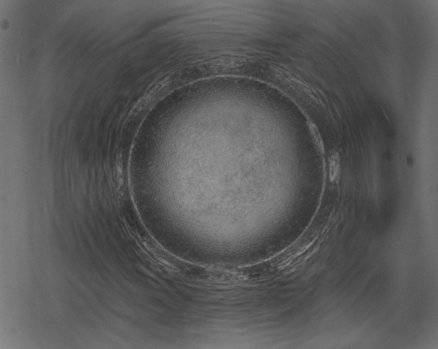 X0000078251011200611031132