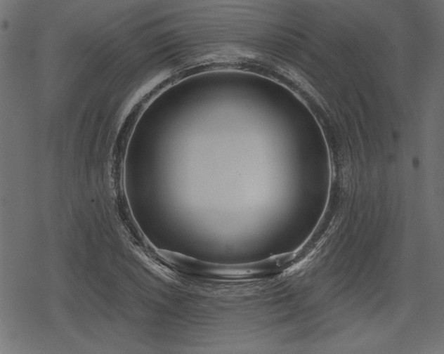 X0000078251026200611031132
