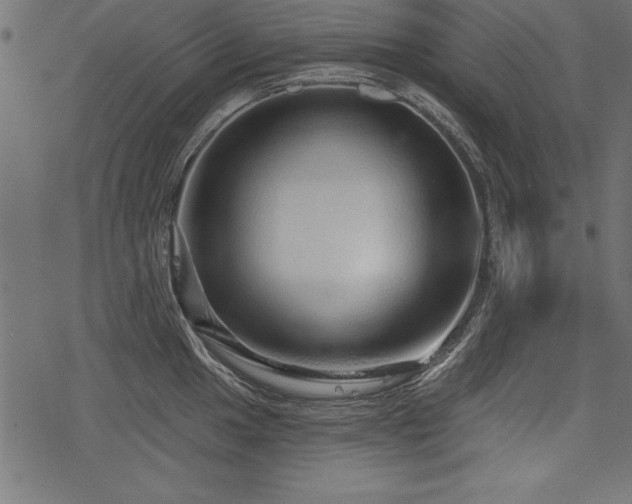 X0000078251049200611031133