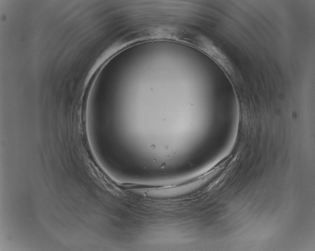 X0000078251052200611031133