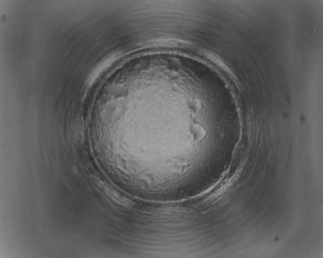 X0000078251067200611031132