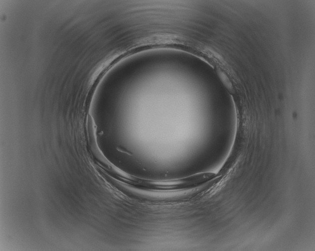 X0000078251081200611031131