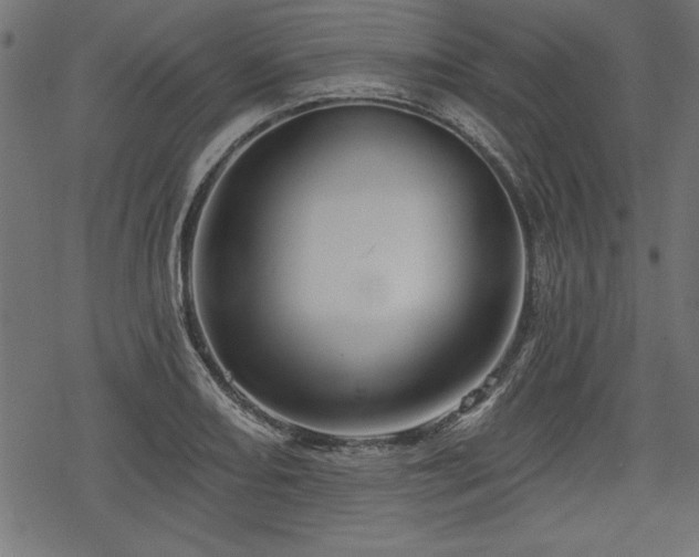 X0000078251082200611031131