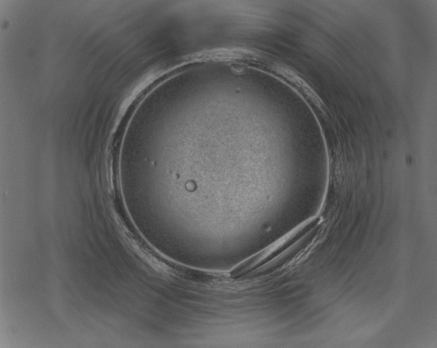 X0000078251083200611031131