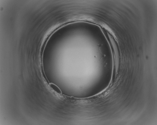 X0000078251088200611031131