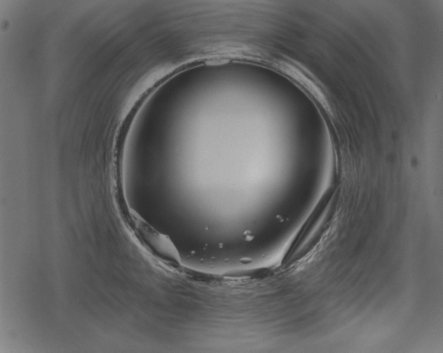 X0000078251093200611031131