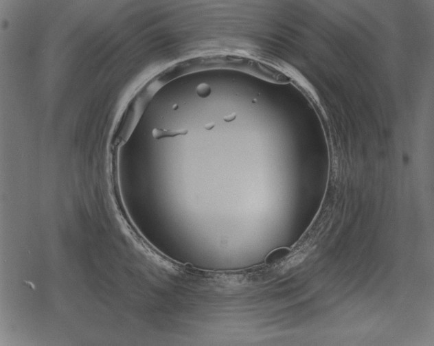 X0000078251096200611031131