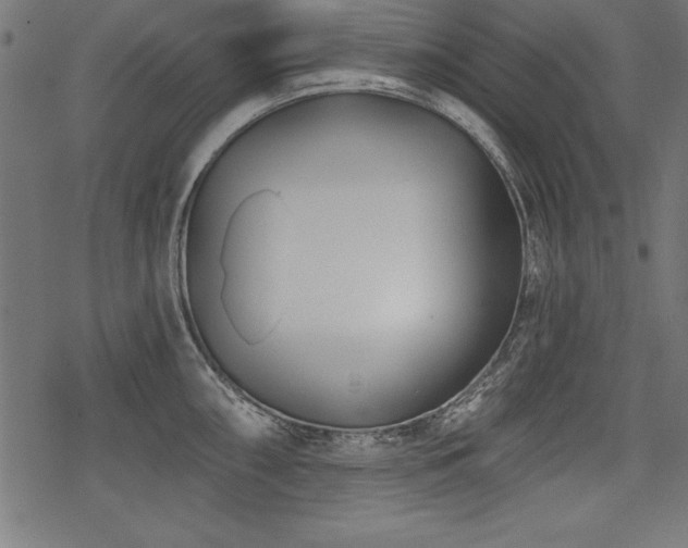 X0000078251098200611031131