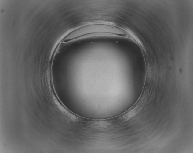 X0000078251100200611031131