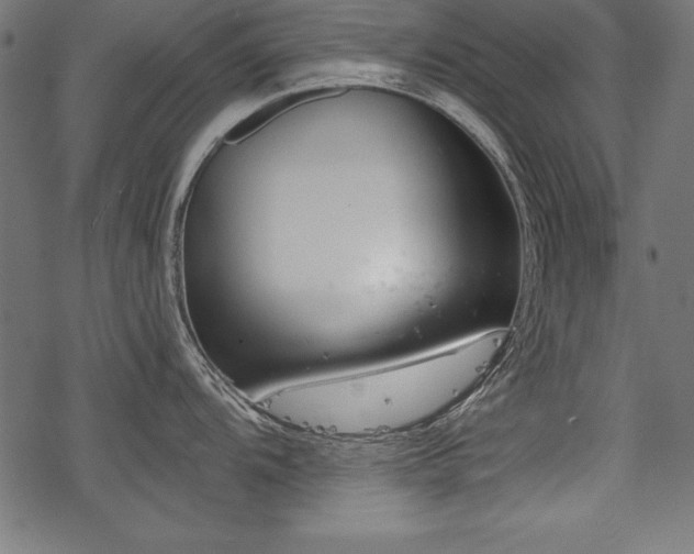 X0000078251104200611031131
