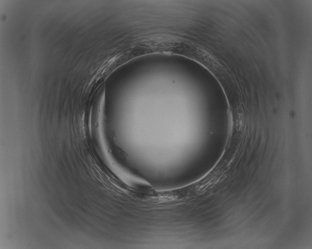 X0000078251108200611031130