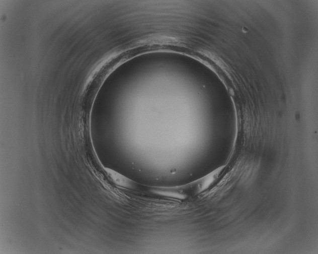 X0000078251115200611031131