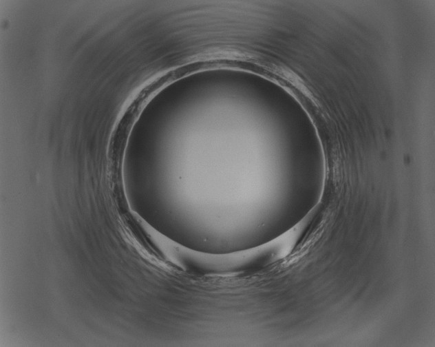 X0000078251116200611031131