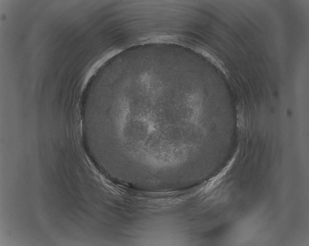 X0000078251117200611031131