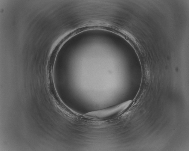 X0000078251120200611031131