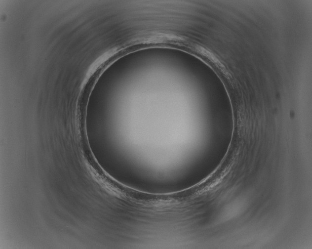 X0000078251122200611031131