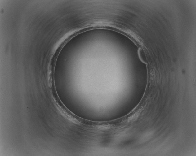 X0000078251126200611031131