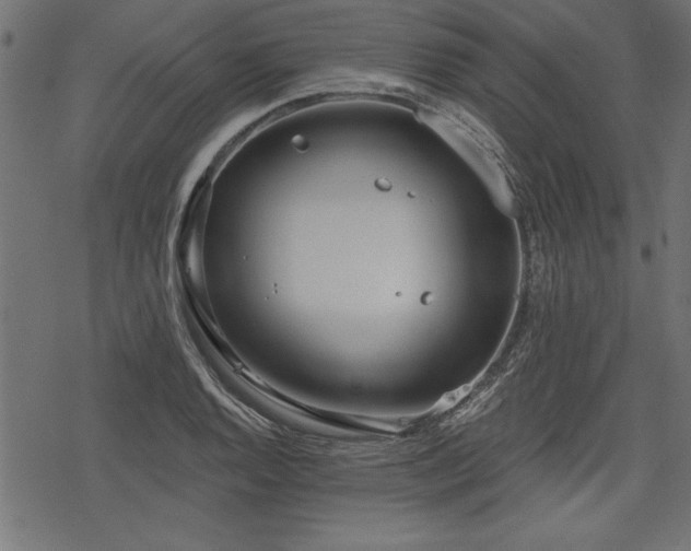 X0000078251128200611031131