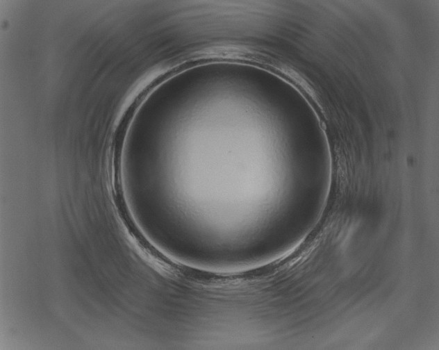 X0000078251131200611031131