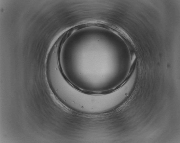 X0000078251132200611031131