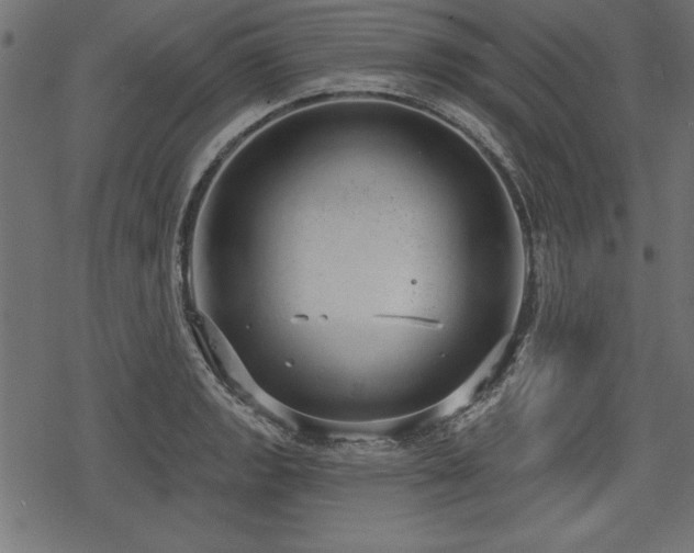 X0000078251133200611031131