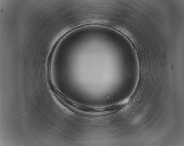 X0000078251135200611031131