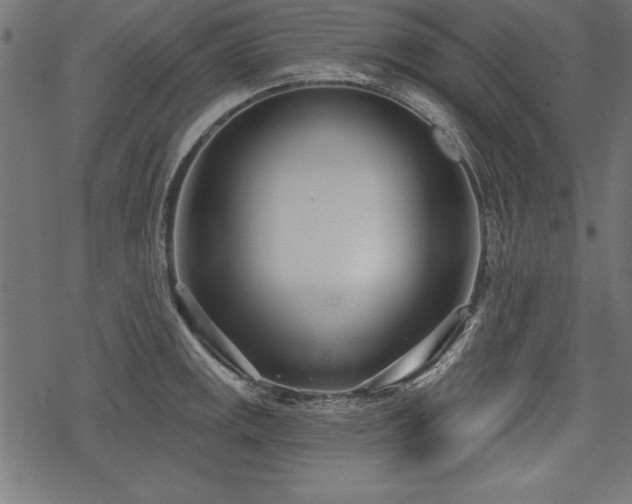 X0000078251141200611031131