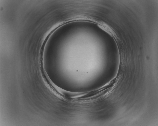 X0000078251142200611031131